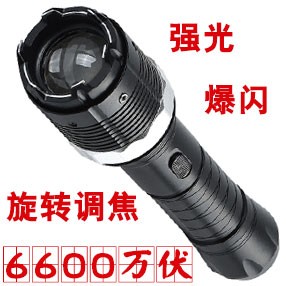 黑鹰HY-8810型号防身电击棒